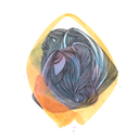 octopusfeeling avatar