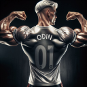 odin-platinum01 avatar