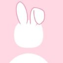 official-bunni-rabbit avatar