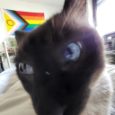 official-molybdenum avatar