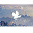 official-rowanwhitethorn avatar