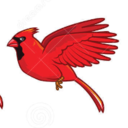 officialshikon avatar