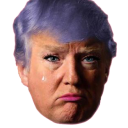 officialtrump avatar