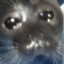 ofigarofigaro avatar