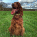 oftheredflash avatar