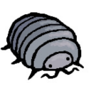 ogminecraftgf avatar