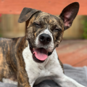 oh-god-i-love-memes avatar