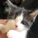 oh-hey-guess-ramen-is-back avatar