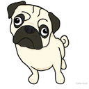 oh-hey-pugs avatar