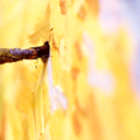 ohheybrandi-blog avatar