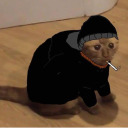 ohmygod-really avatar