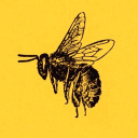 ohnothebees avatar