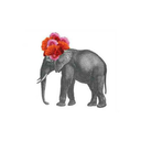 ohyoustupidboy-blog avatar