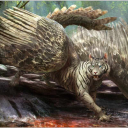 ojosdetigre98 avatar