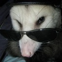 okay-aint-zoie avatar