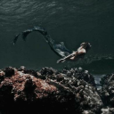 okyanusahasretdenizkizi avatar