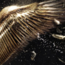 old-soul-tired-bones avatar