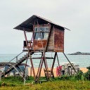 oldmanstilllive avatar