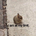 oliver-the-apprentice avatar