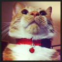 olivercausingtrouble avatar