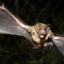 olivers-twist666 avatar