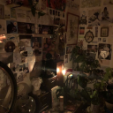 ollies-garden avatar