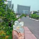 olliestevenson523 avatar