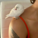 omg-satan-loves-me-333 avatar