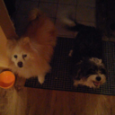 omgitismandaa avatar