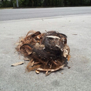 omgtumbleweave avatar