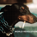 omnivorousstegosaurus avatar