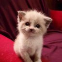 once-upon-a-dream1 avatar