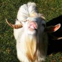 once-was-a-fan avatar