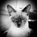 onceandfuturecrush avatar