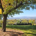 onceuponagalaxyfarfaraway avatar