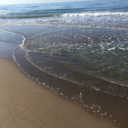 ondechesinfrangono avatar