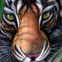 one-tiger-black avatar