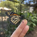 oneandonlyevie avatar