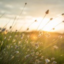 onegreenthing avatar