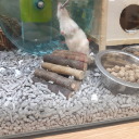 oneminutetoeleven avatar