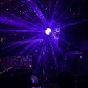 onepotofhoney avatar