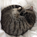 onestoneinasea avatar