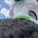 onewiththeblahaj avatar