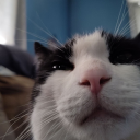 only-in-dreams avatar