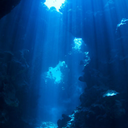 onlychangeisforever-blog avatar