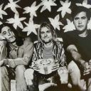 onlyfourkiwis avatar