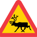 onlyreindeers avatar