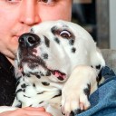 ooc-sohvikset avatar