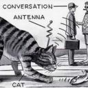 operation-acoustic-kitty avatar
