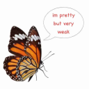 operatorhound avatar